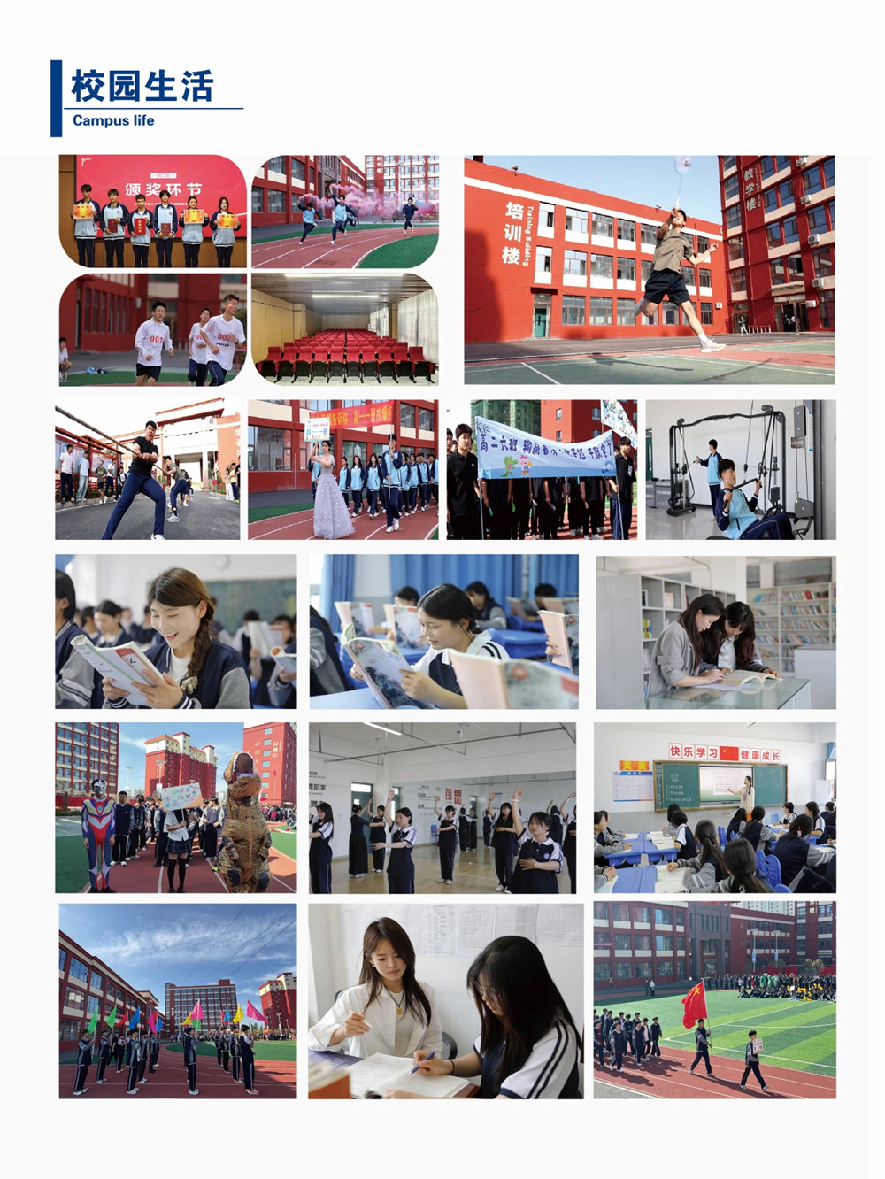 6833f9de4ee1a_副本.jpg