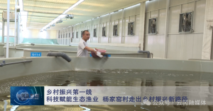 【乡村振兴第一线】科技赋能生态渔业发