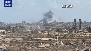 <b>˹֤ʵɼɳͣЭ</b>