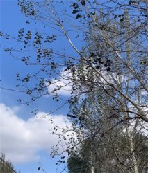 <b> ��������</b>