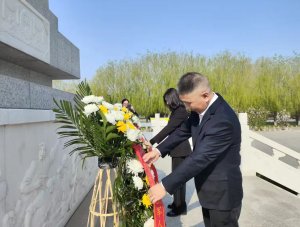 �ӱ����������۾�������ֿ�չ������ɨ