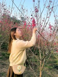 ������  �������������ʹ