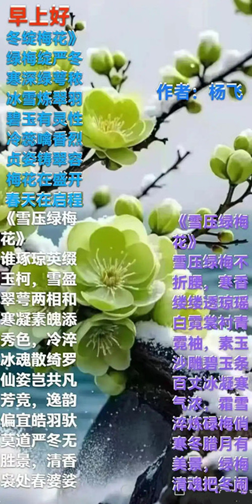 3.webp_����_����.jpg