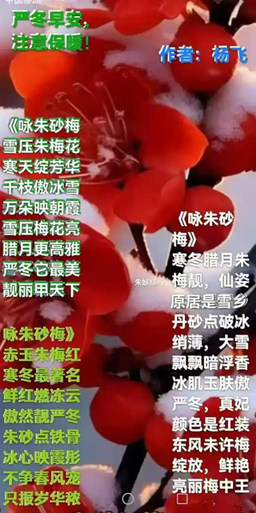 2.webp_����_����.jpg
