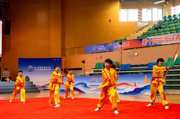 武福临门两岸同源！闽台甘国宝武术文化周　两岸三地六支武术队登台展演(图4)